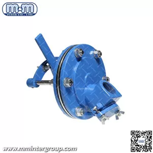 Plana Valve Assembly