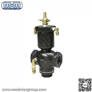 Sola 10 NPT Inlet valve assembly